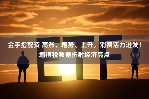 金手指配资 高涨、增势、上升，消费活力迸发！增值税数据折射经济亮点
